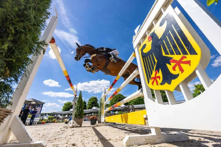 marie ligges derby community pferd teaserbild